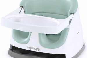Best Baby Seat with Tray: Comfort & Convenience! | Baby Care 101: Essential Tips for Happy, Healthy Babies