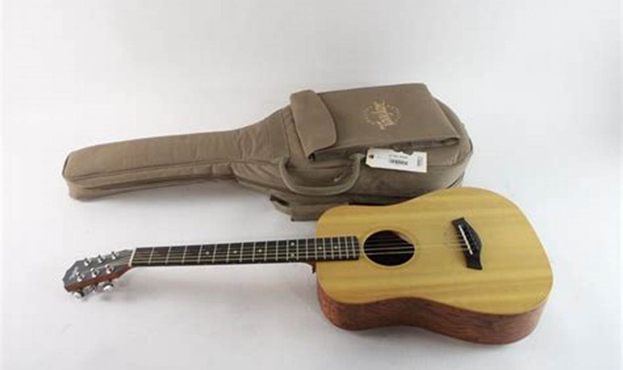 Taylor Baby Guitar: Small Size, Big Sound for Musicians! | Baby Care 101: Essential Tips for Happy, Healthy Babies