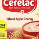 Boost Baby's Health: Iron Fortified Baby Cereal Guide | Baby Care 101: Essential Tips for Happy, Healthy Babies