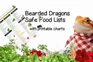 Baby Bearded Dragons: Best Food Guide + Tips Baby Care 101: Essential Tips for Happy, Healthy Babies Baby Bearded Dragons: Best Food Guide + Tips | Baby Care 101: Essential Tips for Happy, Healthy Babies