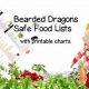 Baby Bearded Dragons: Best Food Guide + Tips | Baby Care 101: Essential Tips for Happy, Healthy Babies