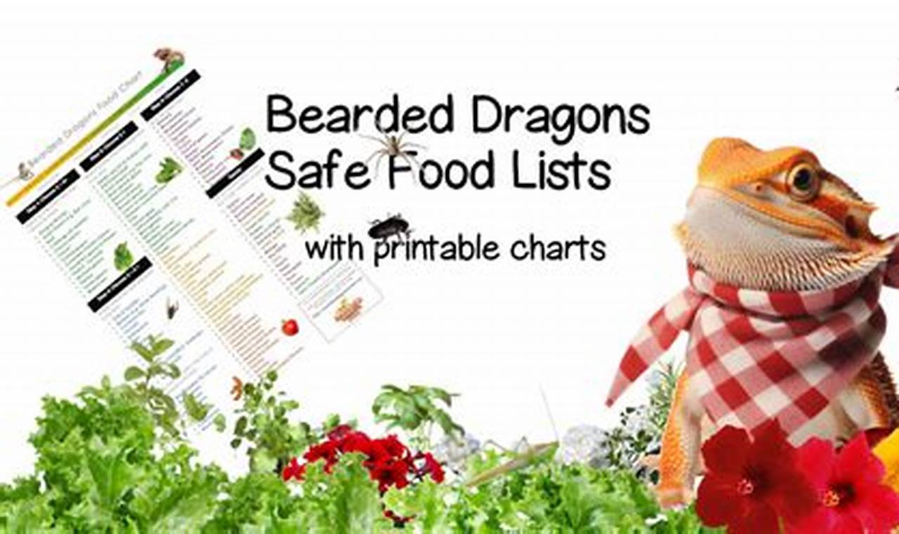 Baby Bearded Dragons: Best Food Guide + Tips Baby Care 101: Essential Tips for Happy, Healthy Babies Baby Bearded Dragons: Best Food Guide + Tips | Baby Care 101: Essential Tips for Happy, Healthy Babies