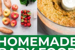 Easy Homemade Baby Food Pouch Recipes: Quick & Healthy | Baby Care 101: Essential Tips for Happy, Healthy Babies