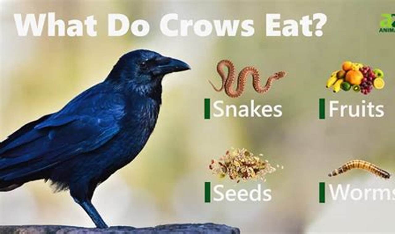 Do Crows Eat Baby Birds? + Protecting Nestlings! | Baby Care 101: Essential Tips for Happy, Healthy Babies