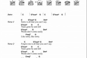 Easy Baby Can I Hold You Chords: A Simple Song for New Babies Baby Care 101: Essential Tips for Happy, Healthy Babies Easy Baby Can I Hold You Chords: A Simple Song for New Babies | Baby Care 101: Essential Tips for Happy, Healthy Babies