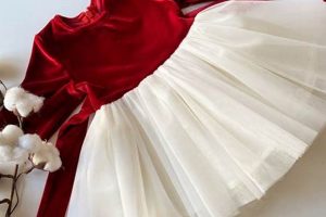 Adorable Red Velvet Dress Baby: Style & Comfort | Baby Care 101: Essential Tips for Happy, Healthy Babies