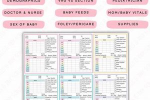 Gentle Mother Baby CNA Care: Support & Expertise | Baby Care 101: Essential Tips for Happy, Healthy Babies