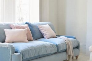 Shop Baby Blue Sofa Styles: Find Your Dream Couch! Baby Care 101: Essential Tips for Happy, Healthy Babies Shop Baby Blue Sofa Styles: Find Your Dream Couch! | Baby Care 101: Essential Tips for Happy, Healthy Babies