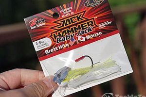 Zman Baby Jack Cheese: The Best Snack for Babies! | Baby Care 101: Essential Tips for Happy, Healthy Babies