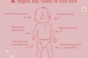 Baby Too Hot? Know the Signs + Cooling Tips Baby Care 101: Essential Tips for Happy, Healthy Babies Baby Too Hot? Know the Signs + Cooling Tips | Baby Care 101: Essential Tips for Happy, Healthy Babies