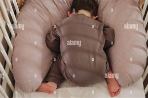 Is Baby Sleeps Face Down in Crib? Safe Sleep Tips | Baby Care 101: Essential Tips for Happy, Healthy Babies
