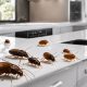 Still Seeing Baby Roaches After Extermination? Here's Why! | Baby Care 101: Essential Tips for Happy, Healthy Babies