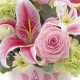 Send New Baby Flowers: Gifts & Arrangements | Baby Care 101: Essential Tips for Happy, Healthy Babies