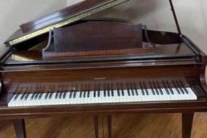 Own a Piece of History: 1956 Baldwin Hamilton Baby Grand | Baby Care 101: Essential Tips for Happy, Healthy Babies