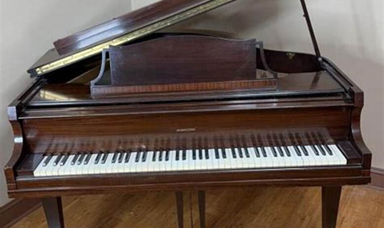 Own a Piece of History: 1956 Baldwin Hamilton Baby Grand | Baby Care 101: Essential Tips for Happy, Healthy Babies
