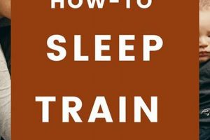 Gentle Sleep: Training Your 9-Month-Old Breastfed Baby + Tips | Baby Care 101: Essential Tips for Happy, Healthy Babies