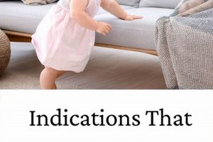 Best Baby Stand Guide: Safety, Benefits & Reviews Baby Care 101: Essential Tips for Happy, Healthy Babies Best Baby Stand Guide: Safety, Benefits & Reviews | Baby Care 101: Essential Tips for Happy, Healthy Babies