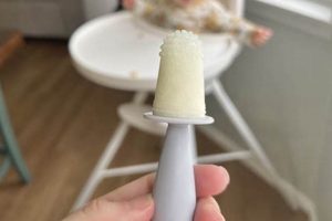 Homemade Baby Popsicles: Recipes & Tips for Teething Relief | Baby Care 101: Essential Tips for Happy, Healthy Babies