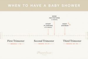 Plan the Perfect Shower: Best Time to Have a Baby Shower Guide Baby Care 101: Essential Tips for Happy, Healthy Babies Plan the Perfect Shower: Best Time to Have a Baby Shower Guide | Baby Care 101: Essential Tips for Happy, Healthy Babies