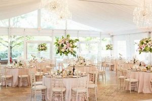 Find Baby Shower Halls Near You: Venue Guide | Baby Care 101: Essential Tips for Happy, Healthy Babies