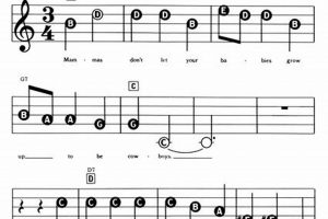 Easy Mamas Don't Let Your Babies Chords + Tips! | Baby Care 101: Essential Tips for Happy, Healthy Babies