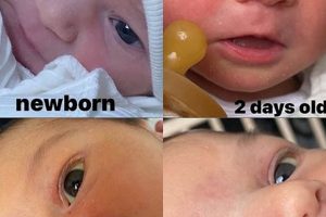 Baby Eye Color Progression Pics: Milestones & Changes | Baby Care 101: Essential Tips for Happy, Healthy Babies