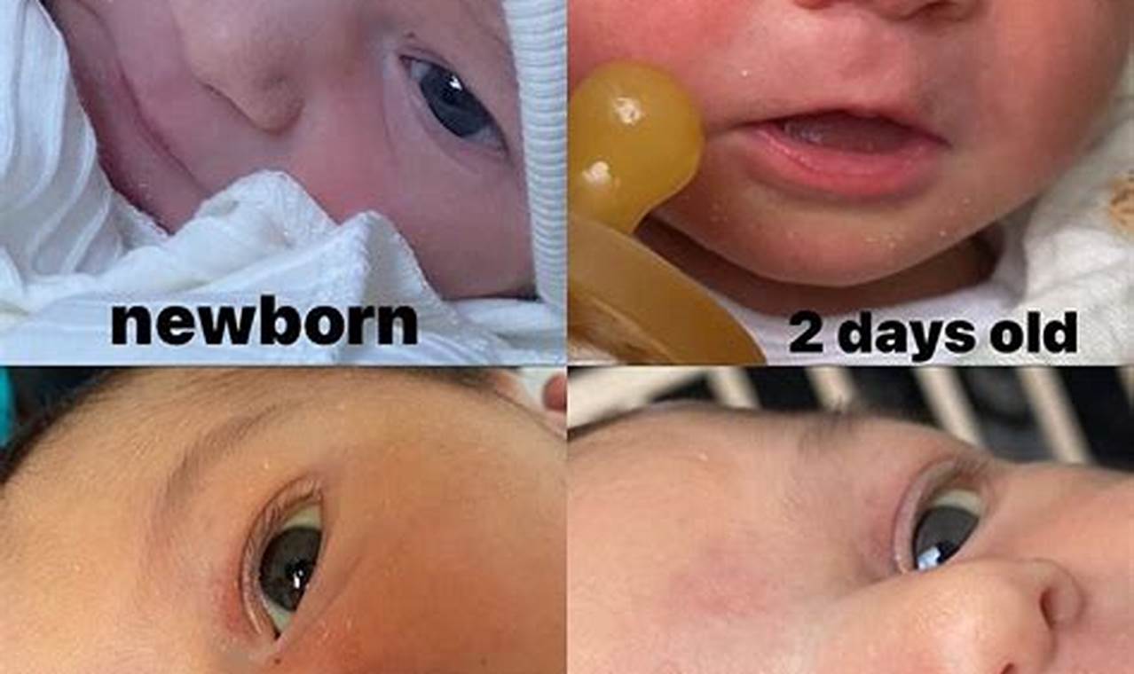 Baby Eye Color Progression Pics: Milestones & Changes Baby Care 101: Essential Tips for Happy, Healthy Babies Baby Eye Color Progression Pics: Milestones & Changes | Baby Care 101: Essential Tips for Happy, Healthy Babies