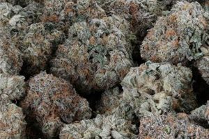 Discover the Baby Yoda Strain: Effects &amp; Info | Baby Care 101: Essential Tips for Happy, Healthy Babies