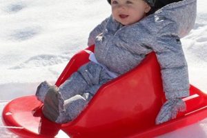 Best Baby Sleds for Winter Fun: Safe & Cozy Rides! | Baby Care 101: Essential Tips for Happy, Healthy Babies
