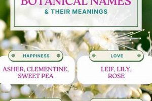 Nature's Gift: Botanical Baby Names + Meanings | Baby Care 101: Essential Tips for Happy, Healthy Babies