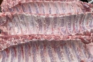 Baby Back Ribs: Do They Have *That* Membrane? (Solved!) Baby Care 101: Essential Tips for Happy, Healthy Babies Baby Back Ribs: Do They Have *That* Membrane? (Solved!) | Baby Care 101: Essential Tips for Happy, Healthy Babies