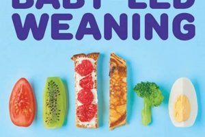 Best Baby Led Weaning Book Guide + Recipes | Baby Care 101: Essential Tips for Happy, Healthy Babies