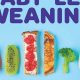 Best Baby Led Weaning Book Guide + Recipes | Baby Care 101: Essential Tips for Happy, Healthy Babies