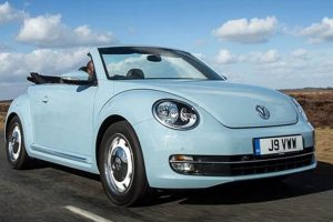 Tiny Treasure: Baby Blue Beetle Facts & More! | Baby Care 101: Essential Tips for Happy, Healthy Babies