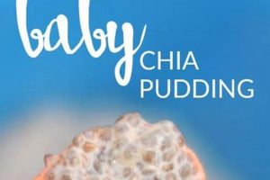 Feeding Babies Chia Seeds: Is It Safe? | Baby Care 101: Essential Tips for Happy, Healthy Babies