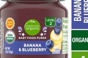 Why Blueberry Baby Food? Benefits & Recipes! | Baby Care 101: Essential Tips for Happy, Healthy Babies