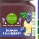 Why Blueberry Baby Food? Benefits & Recipes! | Baby Care 101: Essential Tips for Happy, Healthy Babies