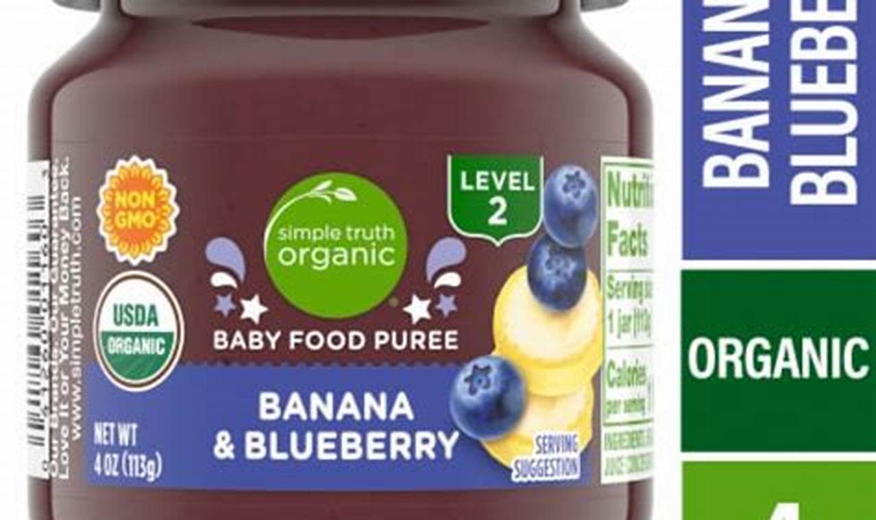 Why Blueberry Baby Food? Benefits & Recipes! | Baby Care 101: Essential Tips for Happy, Healthy Babies
