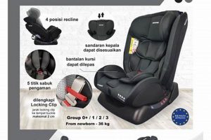 What Baby Does Now: Milestones & Development | Baby Care 101: Essential Tips for Happy, Healthy Babies