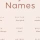 Unique Boho Baby Names: Inspiration & Meanings | Baby Care 101: Essential Tips for Happy, Healthy Babies