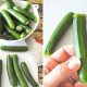 Tiny & Tasty: Recipes with Baby Zucchini Today! | Baby Care 101: Essential Tips for Happy, Healthy Babies