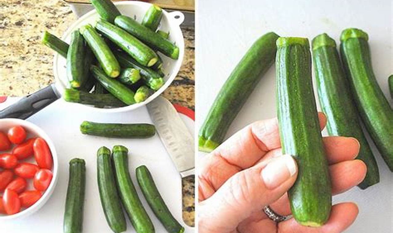 Tiny & Tasty: Recipes with Baby Zucchini Today! | Baby Care 101: Essential Tips for Happy, Healthy Babies