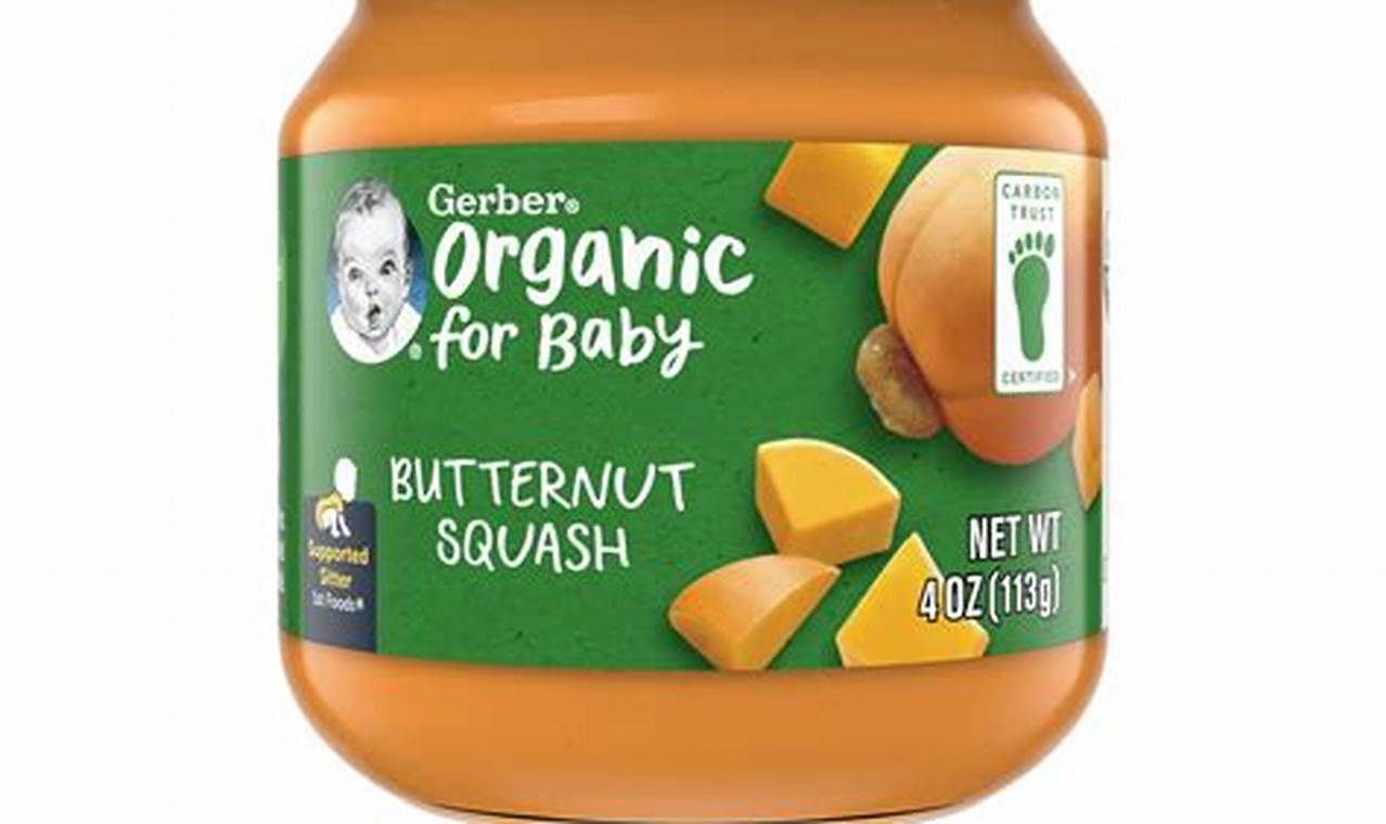 Guide to Gerber Stage 1 Baby Food: Starting Solids Right! | Baby Care 101: Essential Tips for Happy, Healthy Babies