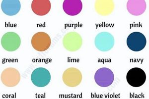 Baby Color Names: Unique Hues & Naming Guide | Baby Care 101: Essential Tips for Happy, Healthy Babies
