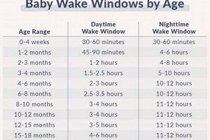 Decoding the Leap 5 Baby: Signs, Tips & Beyond | Baby Care 101: Essential Tips for Happy, Healthy Babies