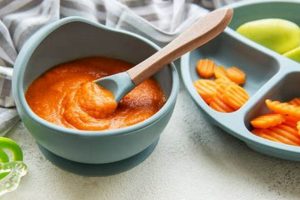 Best Orange Baby Food: Nutritious & Tasty Options | Baby Care 101: Essential Tips for Happy, Healthy Babies