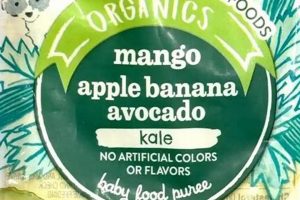 Little Journey Baby Food Reviews: Safe & Healthy [2024] | Baby Care 101: Essential Tips for Happy, Healthy Babies