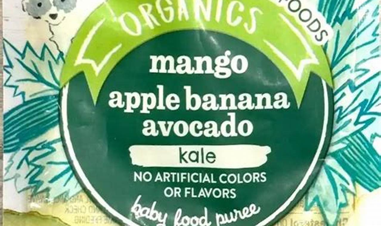 Little Journey Baby Food Reviews: Safe & Healthy [2024] | Baby Care 101: Essential Tips for Happy, Healthy Babies