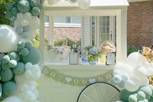 Baby Shower Rentals: Make Your Shower Special! | Baby Care 101: Essential Tips for Happy, Healthy Babies