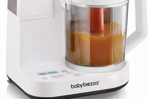 Best Baby Brezza Glass Food Maker for Healthy Baby Food! | Baby Care 101: Essential Tips for Happy, Healthy Babies